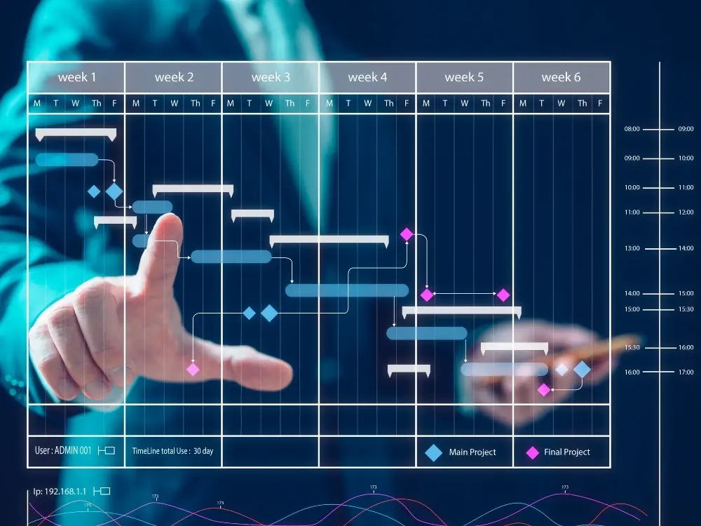 IFEL-consult Services