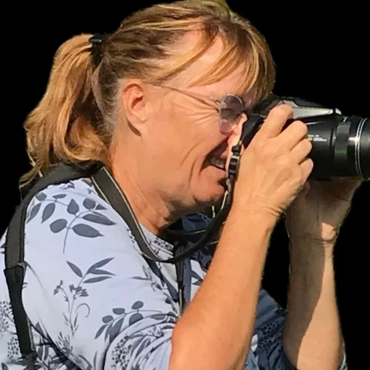 Ineke  vogelaar Sijswijs