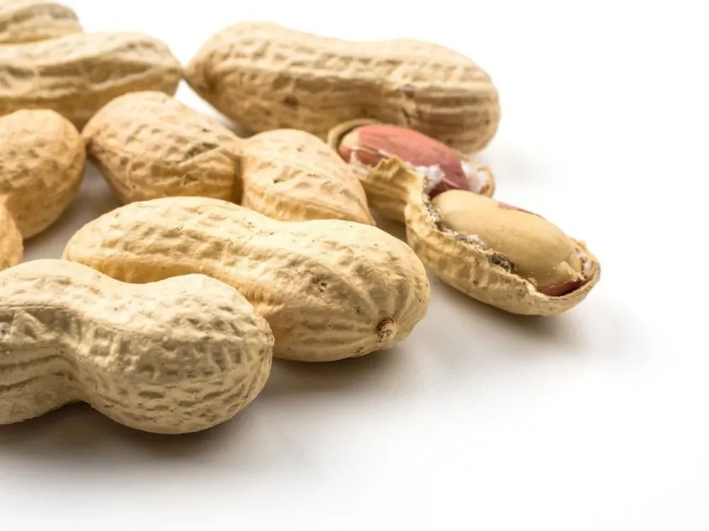 resquire in een notendop