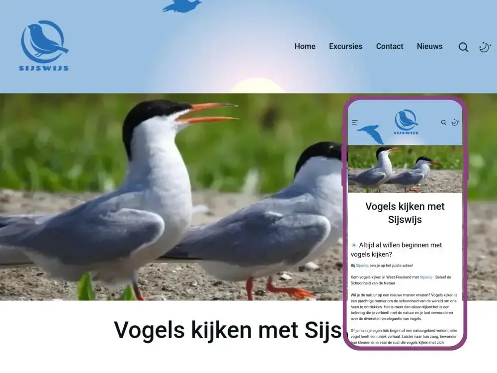 website Sijswijs