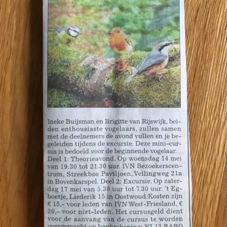 SIJSWIJS geeft mini cursus vogels kijken bij IVN West-Friesland