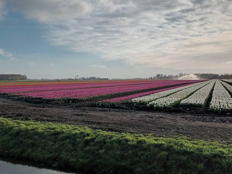 Bezoek aan Medemblik