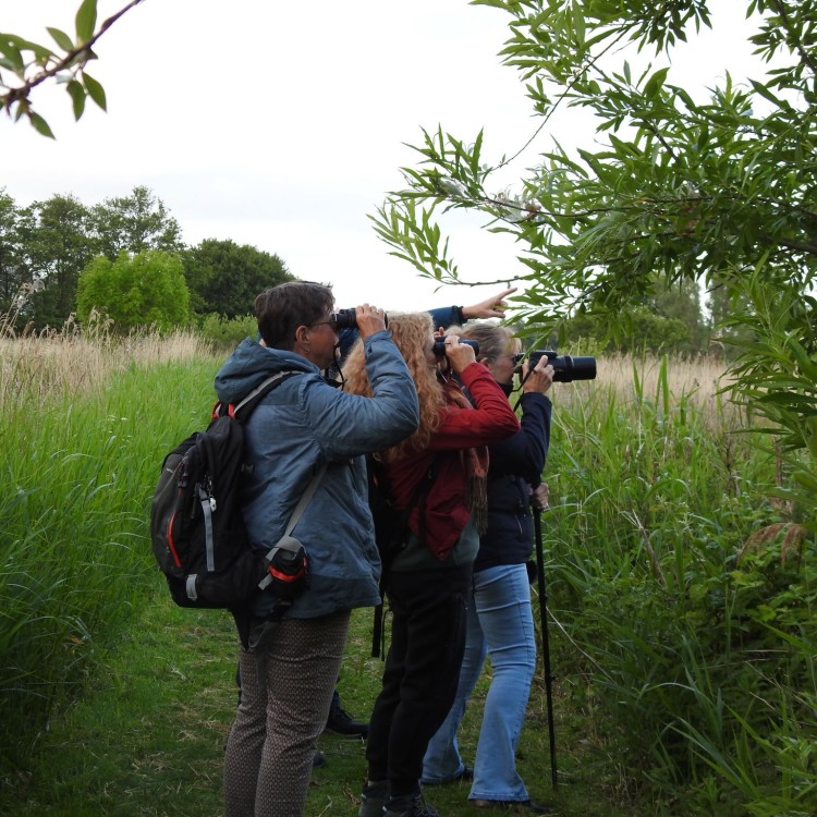 Geslaagde minicursus en excursie
