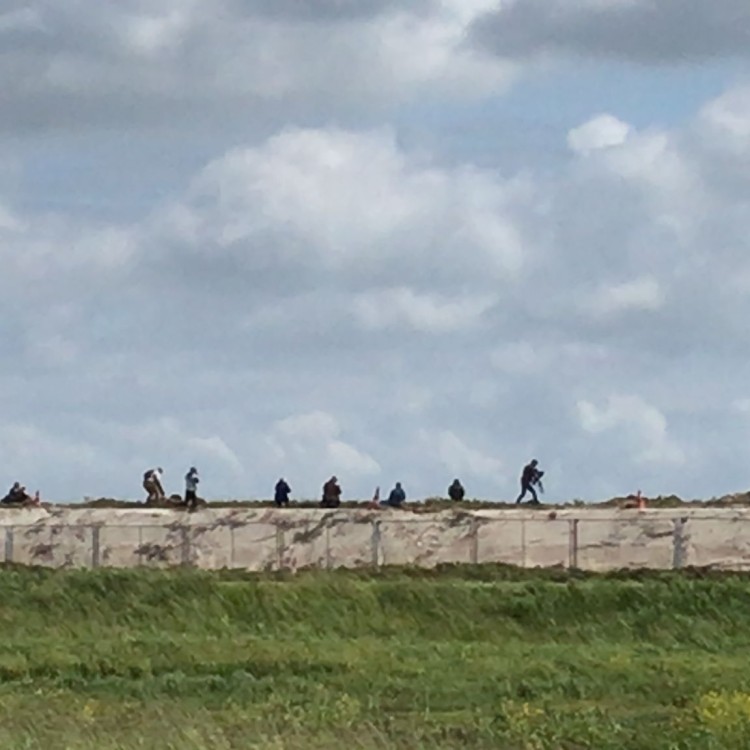 Verrekijken langs de waterkant:Kijk! Daar gaat er Een!!!