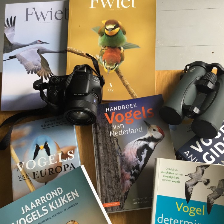 Iedereen kan vogels kijken, maak een fluitend begin