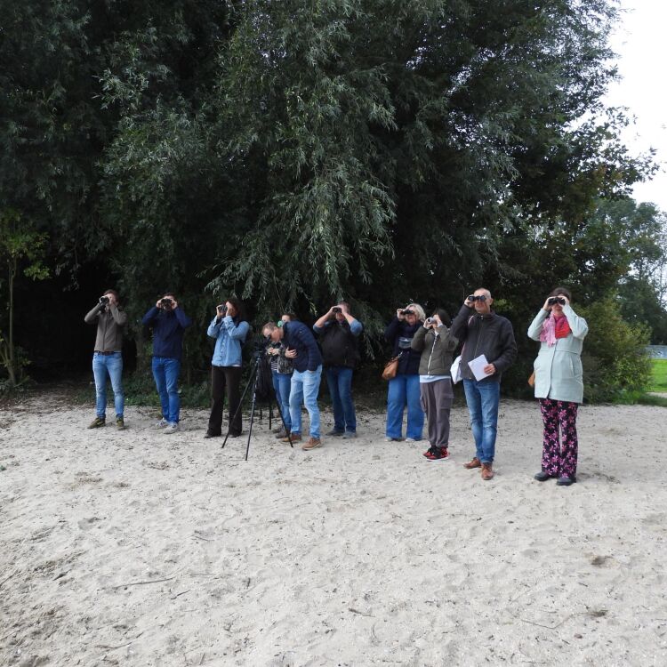 Vogelexcursie in Wilhelminapark Enkhuizen